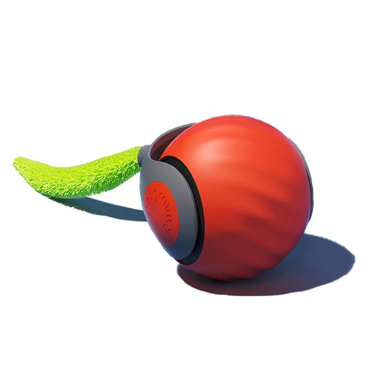 Tier-Intelligenzspielzeug Interactive Pet Toy Ball - Unpredictable Movement, Dual Modes